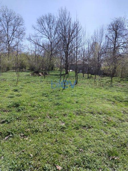 Satış  otaqlı Torpaq  10m², Qəbələ