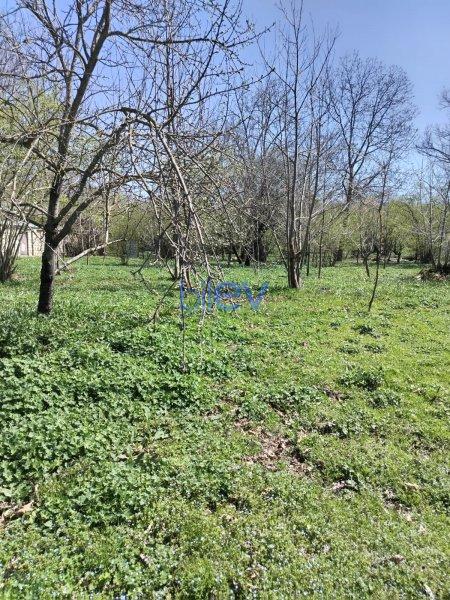 Satış  otaqlı Torpaq  10m², Qəbələ