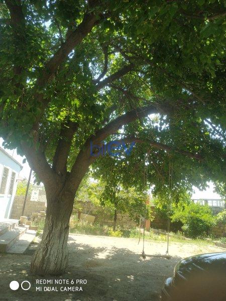 Satılır 4 otaqlı Bağ evi  146m², Sumqayıt