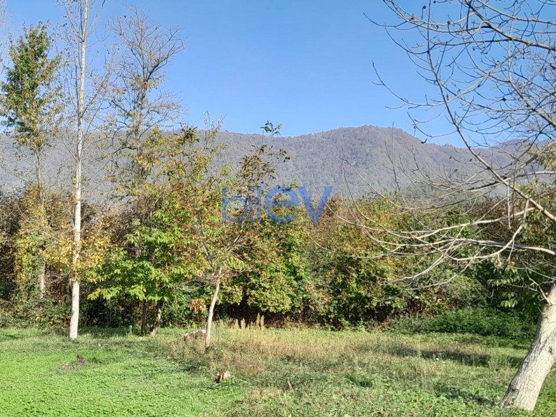 Satılır  otaqlı Torpaq  15m², Qəbələ