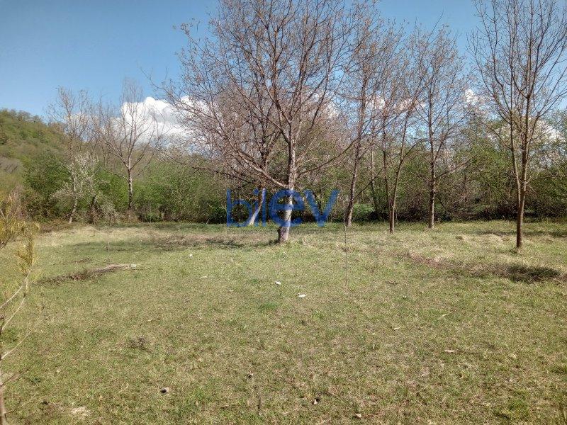 Satılır  otaqlı Torpaq  15m², Qəbələ