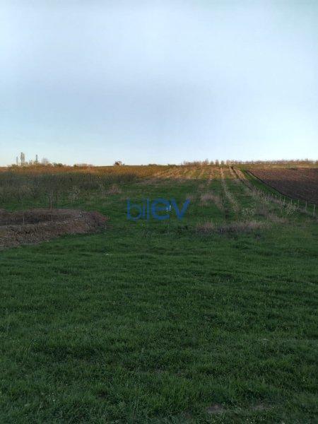 Satılır  otaqlı Torpaq  64m², Quba