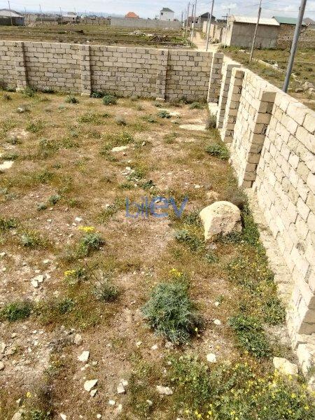 Satılır  otaqlı Torpaq  4000m², Bakı