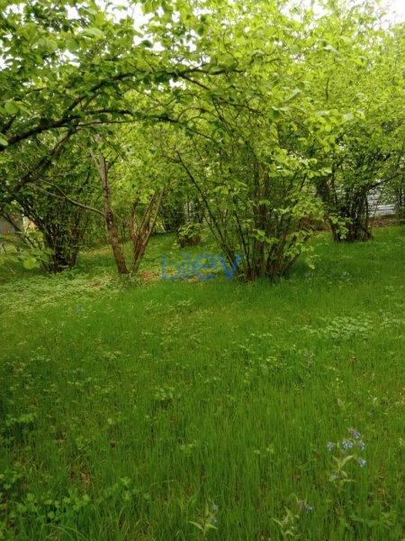 Satılır  otaqlı Torpaq  2000m², Qəbələ