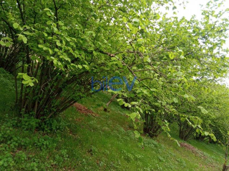 Satılır  otaqlı Torpaq  2000m², Qəbələ