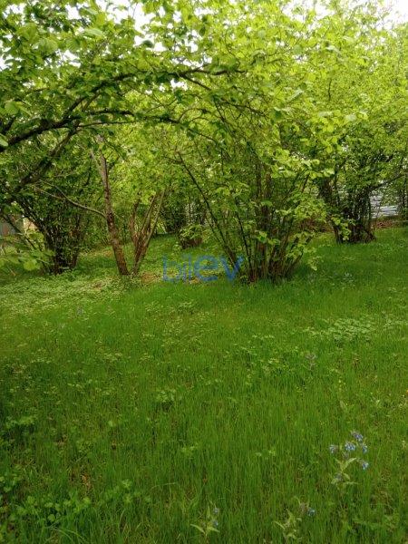 Satılır  otaqlı Torpaq  2000m², Qəbələ