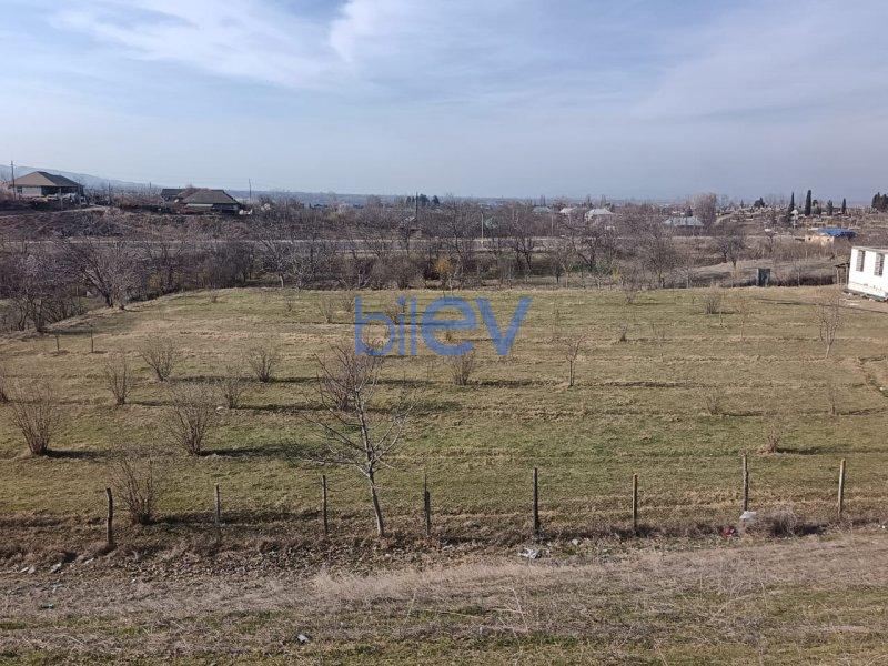 Satış 3 otaqlı Bağ evi  3200m², Qazax
