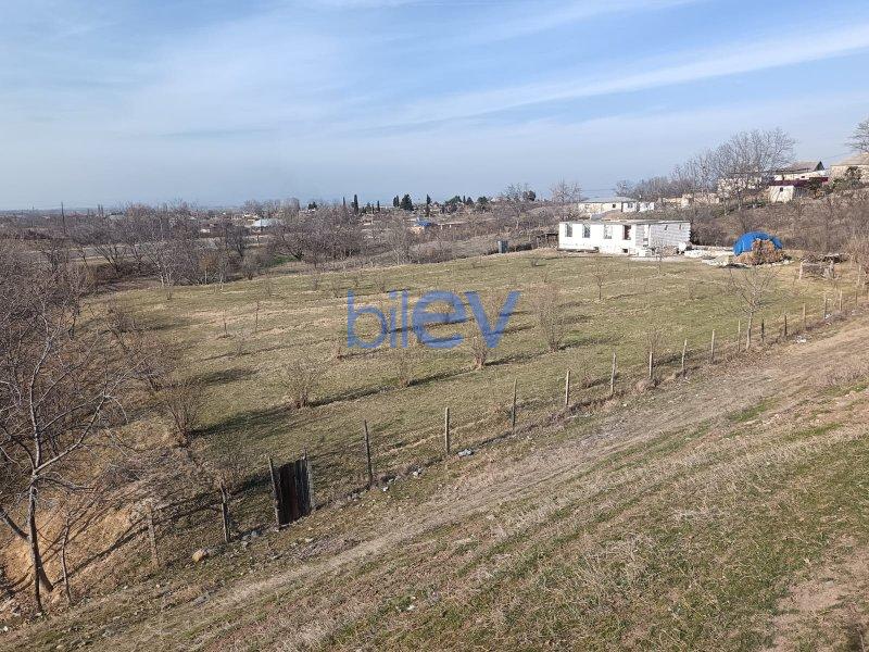 Satış 3 otaqlı Bağ evi  3200m², Qazax