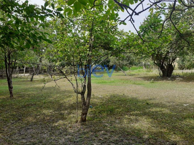 Satış 4 otaqlı Həyət evi  20m², Quba