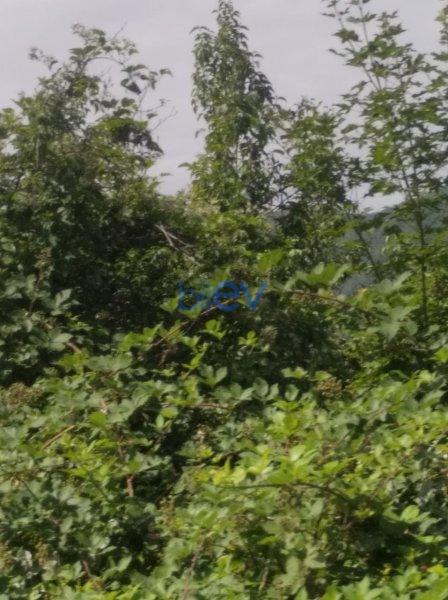 Satış  otaqlı Torpaq  60m², Şamaxı