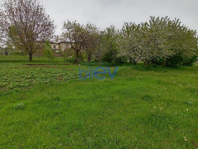 Satış 5 otaqlı Köhnə Tikili bina evi  300m², İsmayıllı