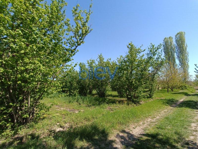 Satış 4 otaqlı Torpaq  18m², Xaçmaz