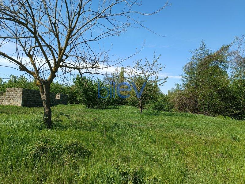 Satış 4 otaqlı Torpaq  18m², Xaçmaz