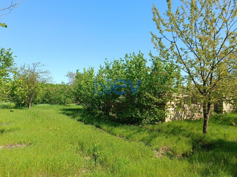 Satış 4 otaqlı Torpaq  18m², Xaçmaz