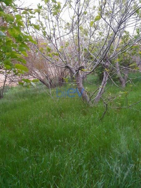 Satılır 3 otaqlı Həyət evi  600m², Bakı