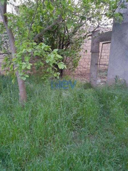 Satılır 3 otaqlı Həyət evi  600m², Bakı