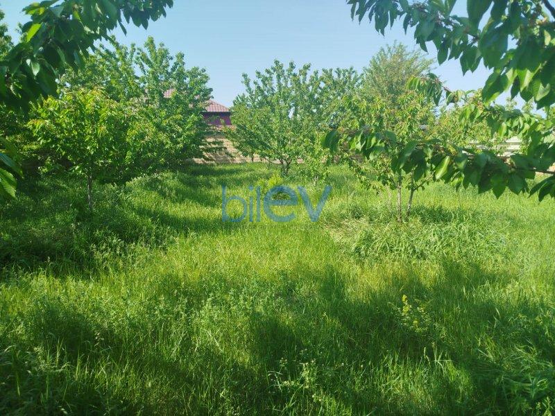 Satış 4 otaqlı Həyət evi  90m², Quba