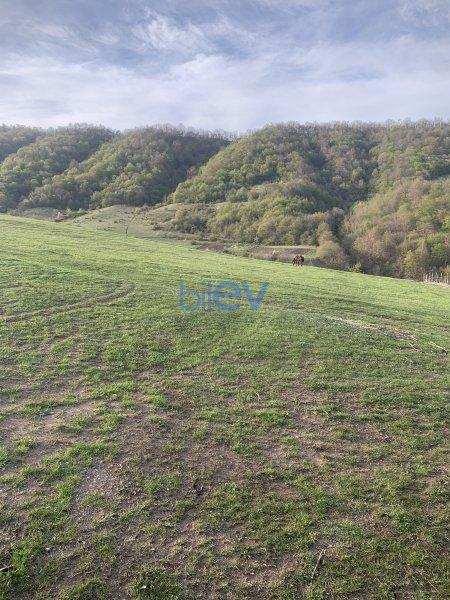 Satış  otaqlı Torpaq  200m², Quba