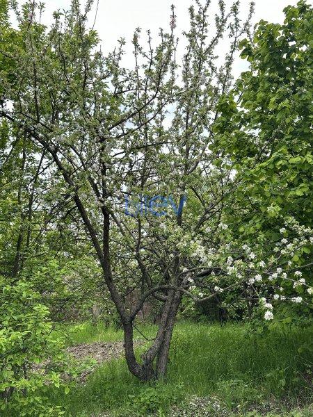 Satılır  otaqlı Torpaq  31m², Gəncə
