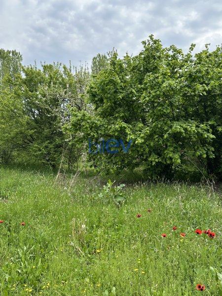Satılır  otaqlı Torpaq  31m², Gəncə