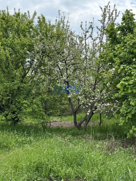 Satılır  otaqlı Torpaq  31m², Gəncə