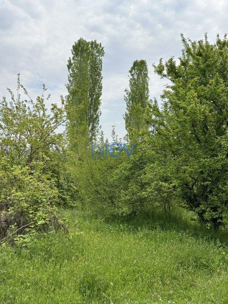 Satılır  otaqlı Torpaq  31m², Gəncə