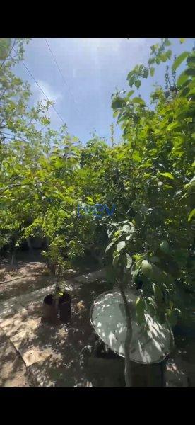 Satış 8 otaqlı Həyət evi  100m², Xırdalan