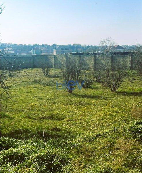 Satış  otaqlı Bağ evi  2300m², Bakı