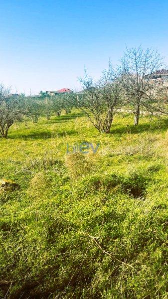 Satış  otaqlı Bağ evi  2300m², Bakı