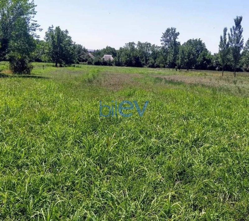 Satış  otaqlı Torpaq  12m², Qəbələ