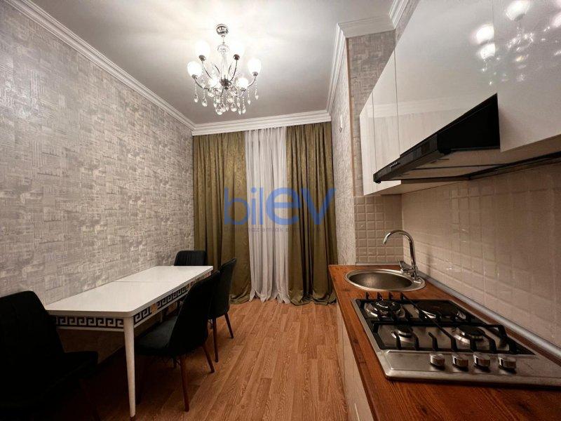 Aylıq Kirayə 2 otaqlı Yeni Tikili bina evi  55m², Bakı