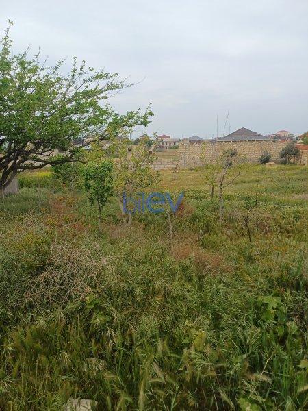 Satış 3 otaqlı Torpaq  40m², Bakı
