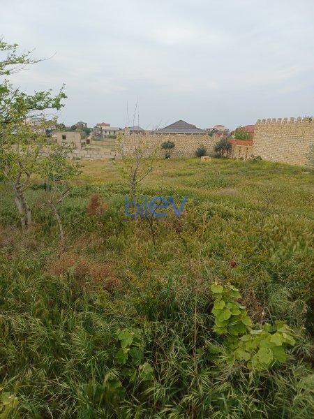 Satış 3 otaqlı Torpaq  40m², Bakı