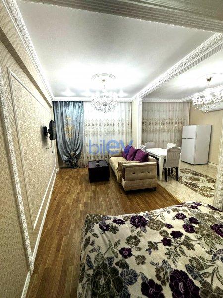 Kirayə (aylıq) 1 otaqlı Yeni Tikili  60m², Bakı