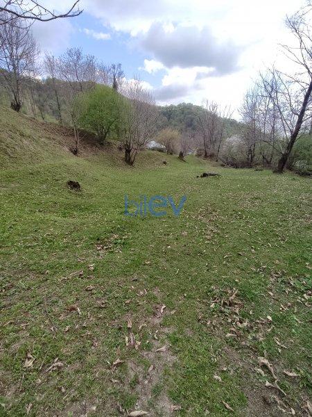 Satış  otaqlı Torpaq  40m², Qəbələ