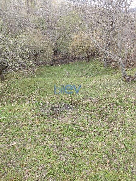 Satış  otaqlı Torpaq  40m², Qəbələ