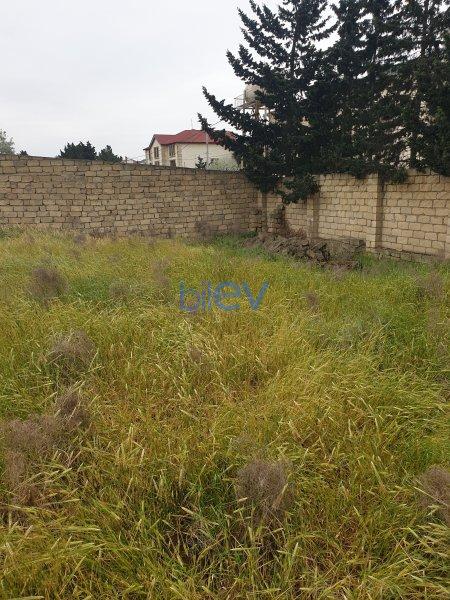 Satış  otaqlı Torpaq  600m², Bakı