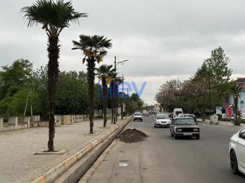 Kirayə (aylıq) 2 otaqlı Obyekt  200m², Masallı