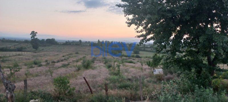 Satılır  otaqlı Torpaq  1800m², Qusar