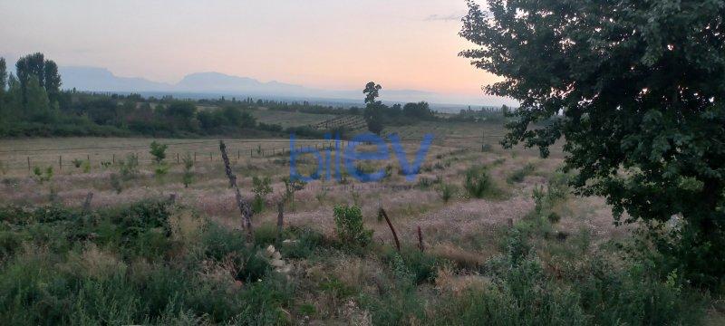 Satılır  otaqlı Torpaq  1800m², Qusar