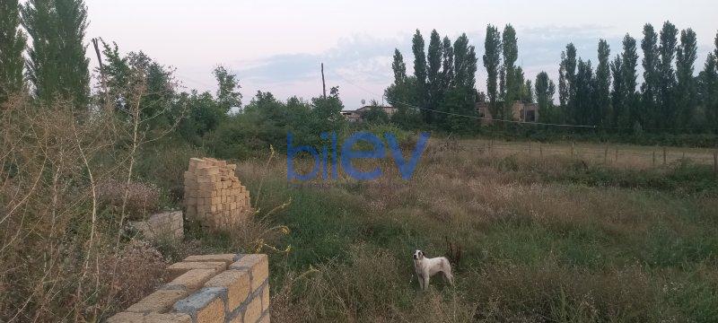 Satılır  otaqlı Torpaq  1800m², Qusar