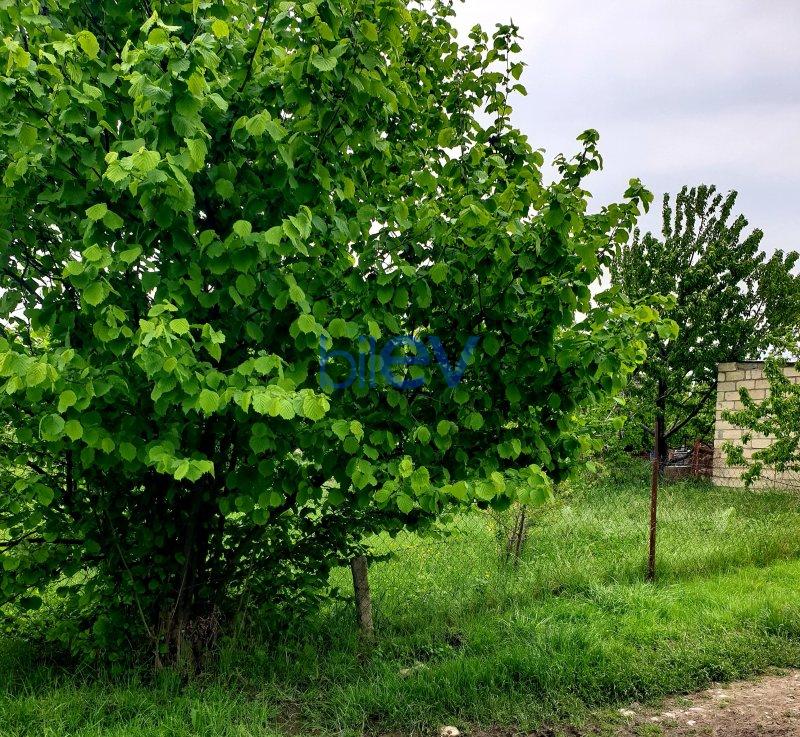 Satılır  otaqlı Torpaq  1600m², Quba