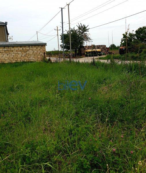Satılır  otaqlı Torpaq  1600m², Quba