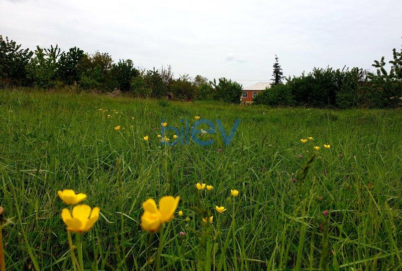 Satılır  otaqlı Torpaq  1600m², Quba