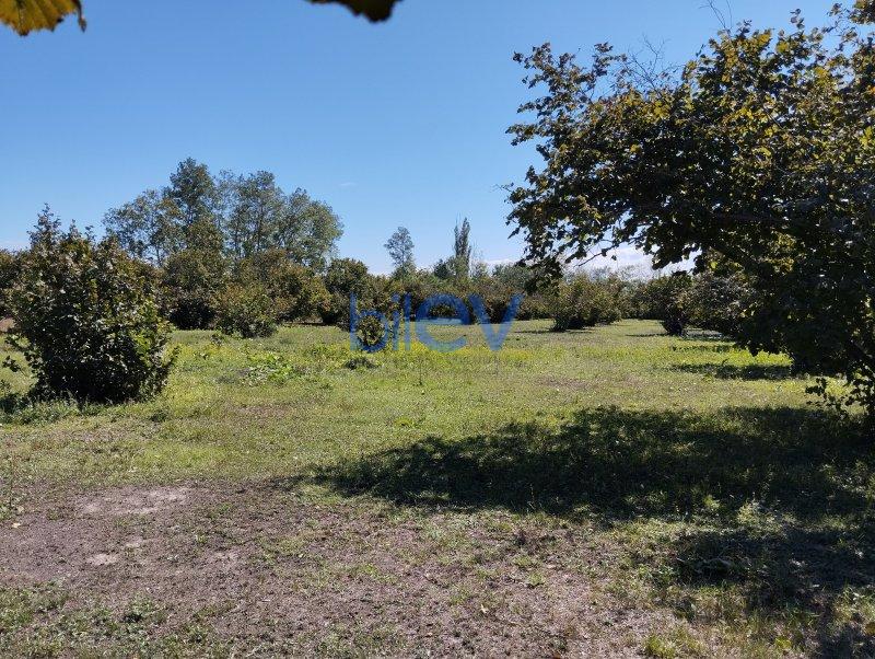 Satılır  otaqlı Torpaq  7000m², Qəbələ