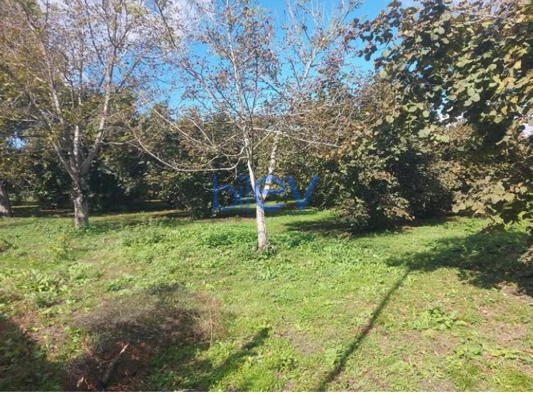 Satılır  otaqlı Torpaq  20m², Qəbələ