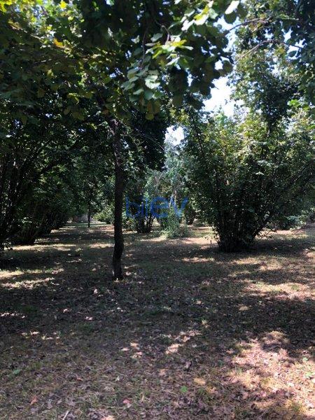 Satılır  otaqlı Torpaq  20m², Qəbələ