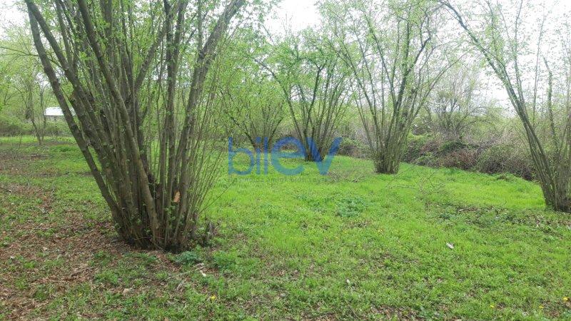 Satılır  otaqlı Torpaq  20m², Qəbələ
