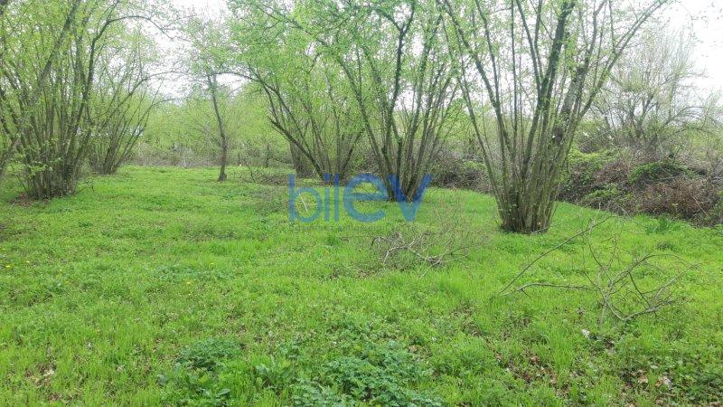 Satılır  otaqlı Torpaq  20m², Qəbələ