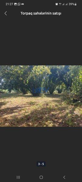 Satılır  otaqlı Torpaq  20m², Qəbələ